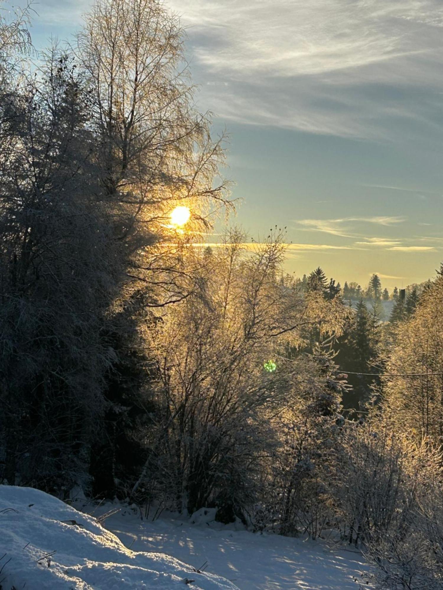 Chalet Avec Jacuzzi Prive, Vue Sur Les Vosges Belfahy Bagian luar foto